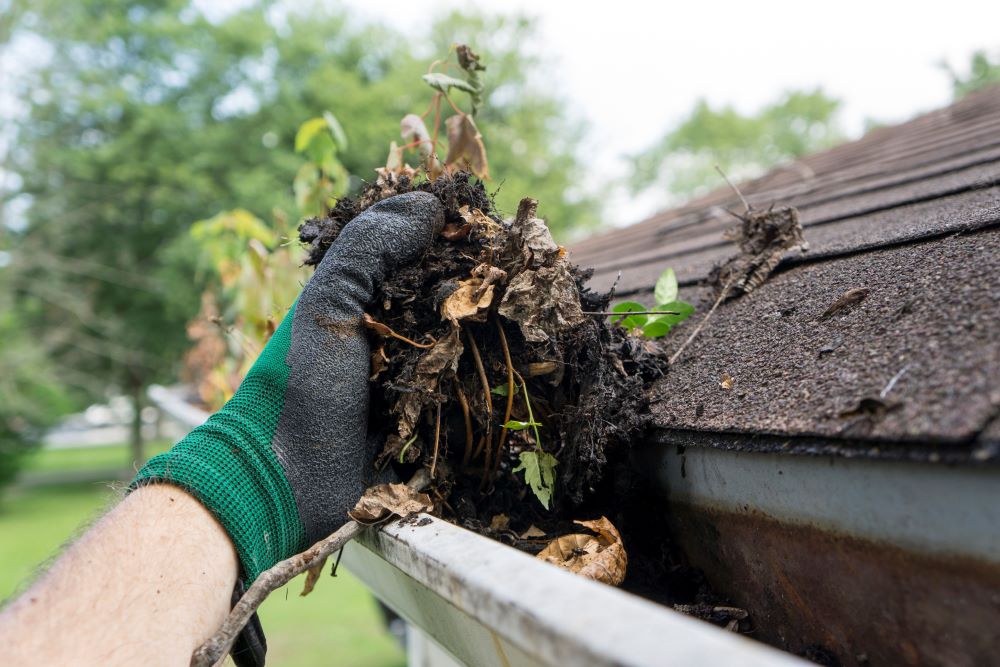 gutter cleaning in jurupa valley ca