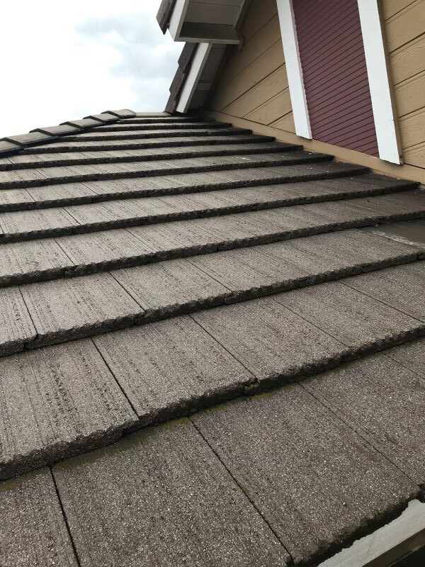 roof cleaning job